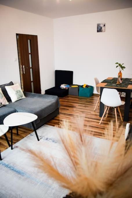 Przytulne Mieszkanie Z Widokiem W Bielsku Bialej Apartment Bielsko-Biala