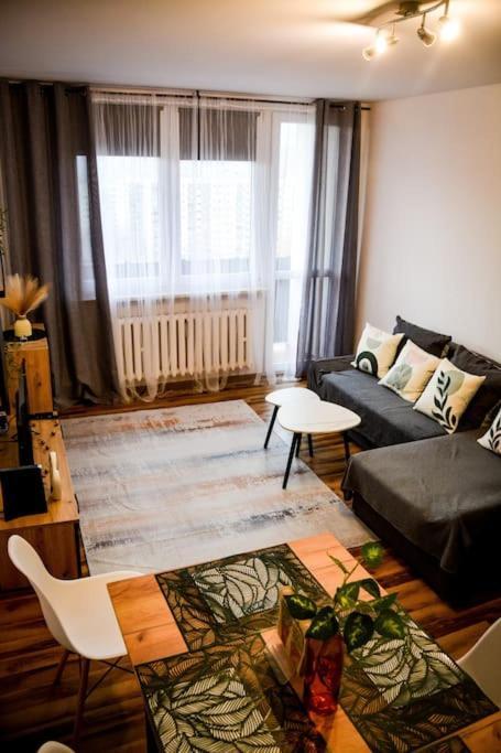 Przytulne Mieszkanie Z Widokiem W Bielsku Bialej Apartment *