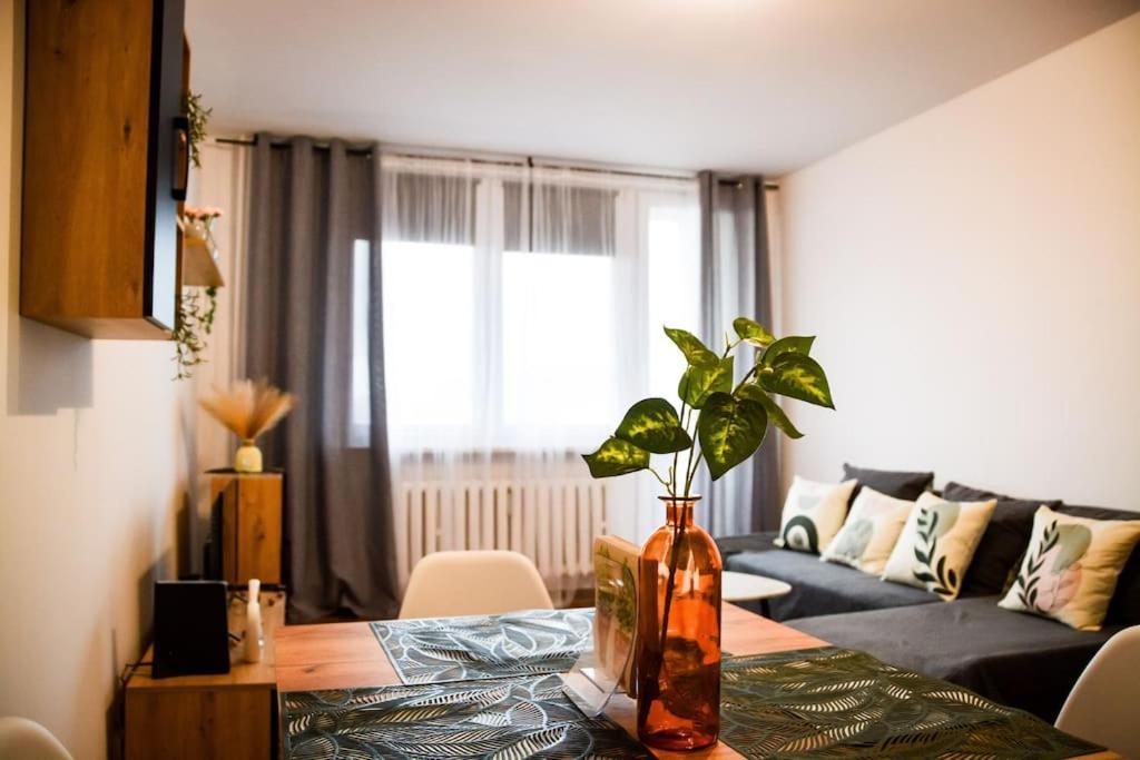 Przytulne Mieszkanie Z Widokiem W Bielsku Bialej Apartment